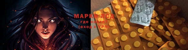 дживик Горняк