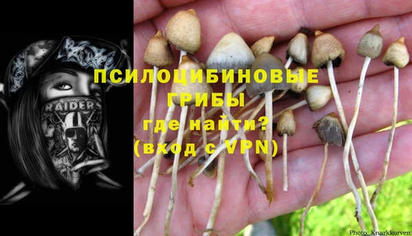 экстази Горнозаводск