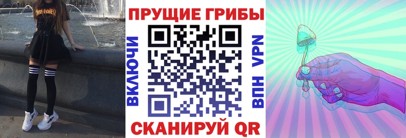 Купить  Гаврилов-Ям  Галлюциногенные грибы GOLDEN TEACHER 